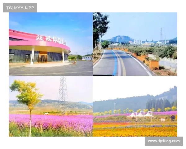 玫瑰小镇秘旅指南：探索芳香与浪漫